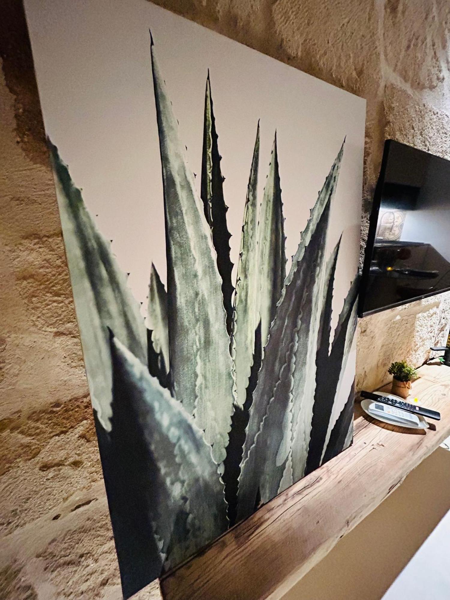My Loft - Monopoli Apartment Екстериор снимка